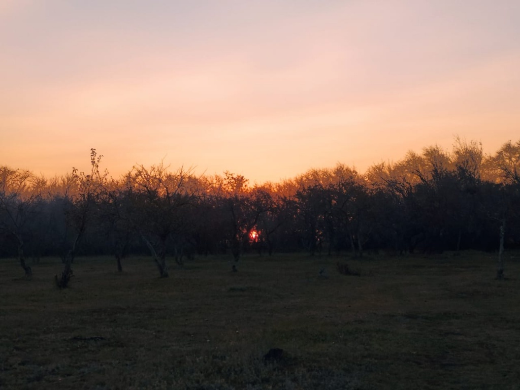015.jpg 015.jpg